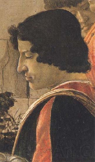 Sandro Botticelli Man in a short black tunic,standing on the right Norge oil painting art